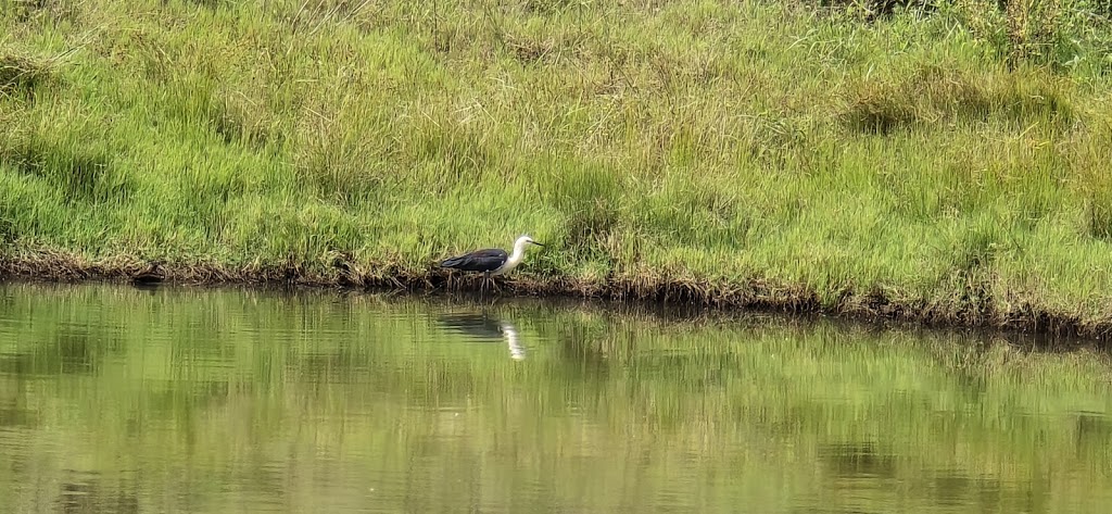 JK Integrated Farm | 199 Mowbray Park Rd, Mowbray Park NSW 2571, Australia | Phone: 0420 803 897