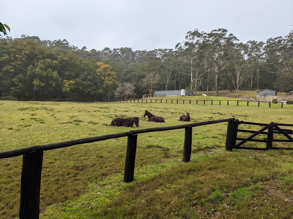 Sunnybank Therapies | 16 Chittaway Rd, Ourimbah NSW 2258, Australia | Phone: 0435 370 817