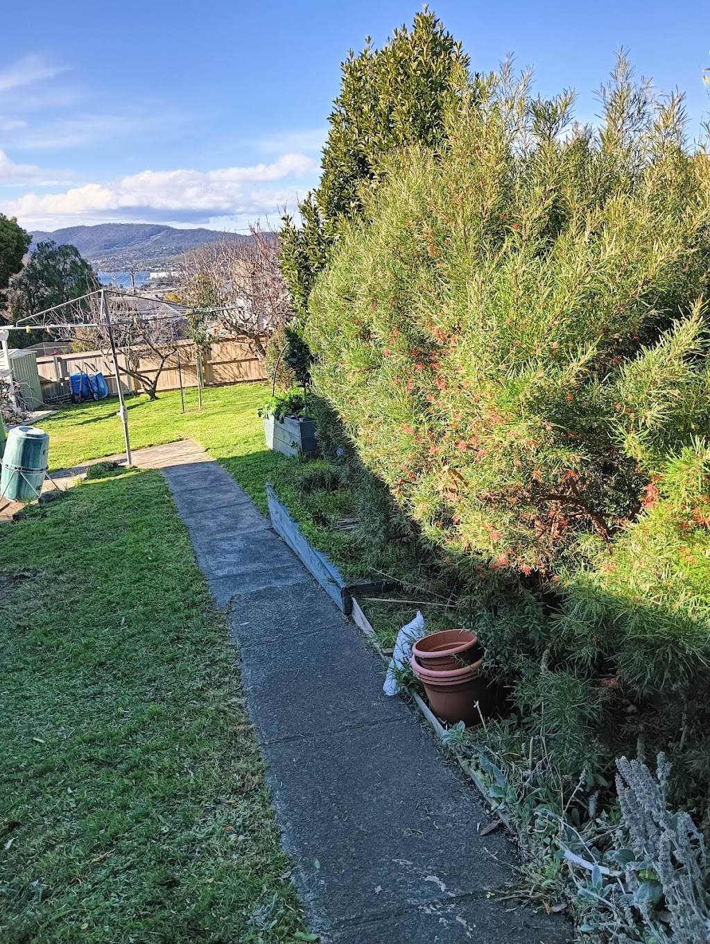 5gardengws | 105 Lennox Ave, Lutana TAS 7009, Australia | Phone: 0468 356 685