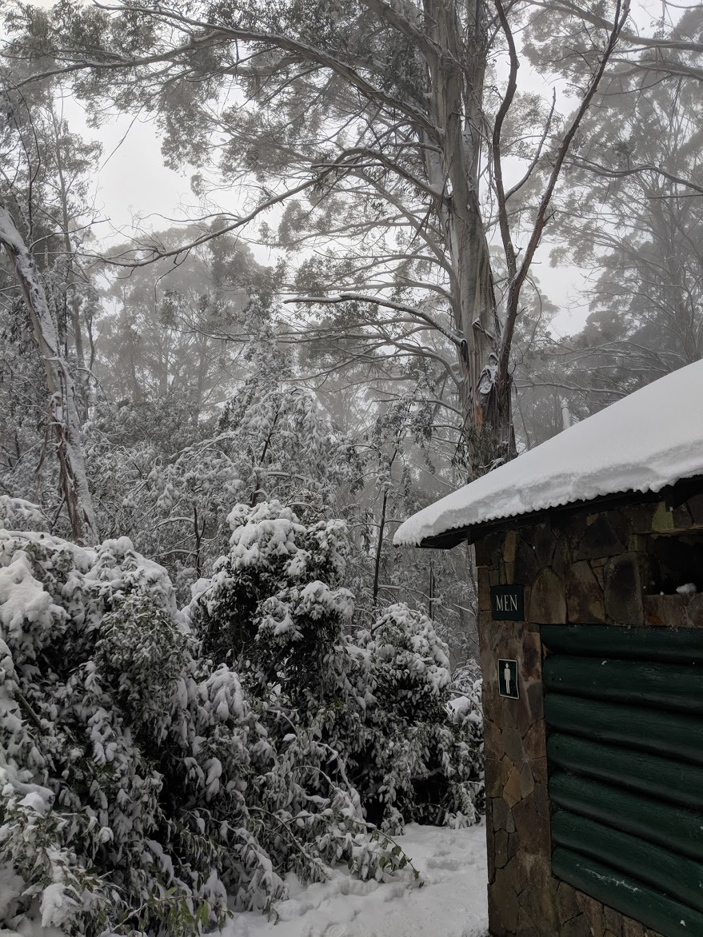 10 Mile Picnic Area | park | 1140 Donna Buang Rd, Warburton VIC 3799, Australia