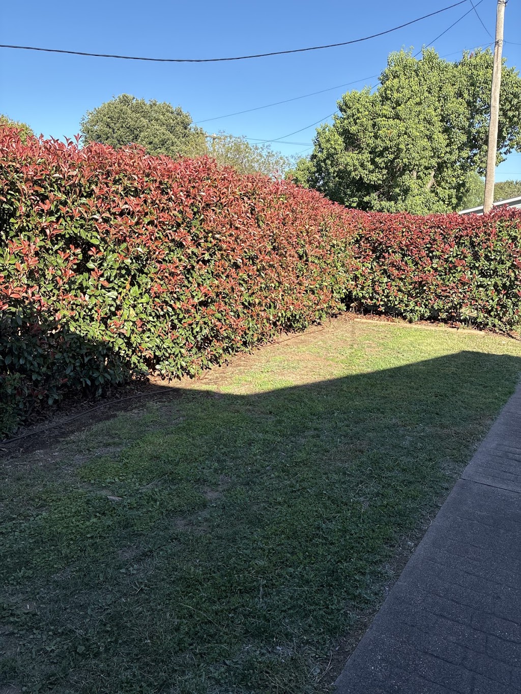 Canowindra Joe Lawn Mowing | 3 Lynn St, Canowindra NSW 2804, Australia | Phone: 0404 474 536