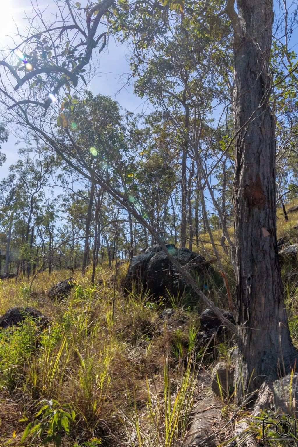 Wet Tropics Great Walk (Blencoe Falls Section) | Cashmere Kirrama Rd, Kirrama QLD 4872, Australia