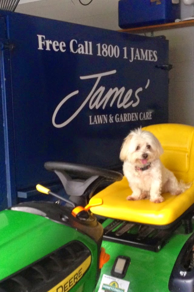 James Lawn and Garden Care Cairns & Redlynch | 93 Gamburra Dr, Redlynch QLD 4870, Australia | Phone: 1800 152 637