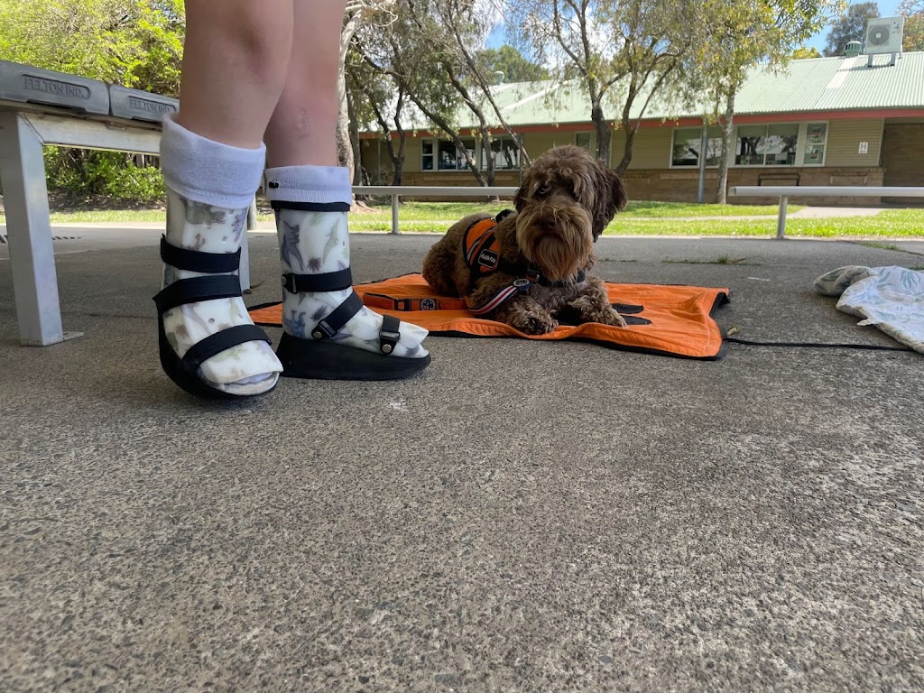 Fur Therapy Australia | Eucalyptus Dr, Banora Point NSW 2486, Australia | Phone: 0418 976 971