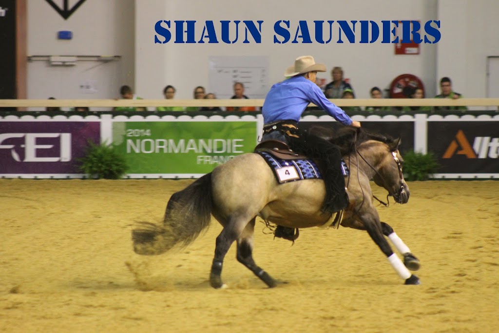 Saunders Peformance Horses |  | 126 J Bell Rd, Boonah QLD 4310, Australia | 0403528417 OR +61 403 528 417