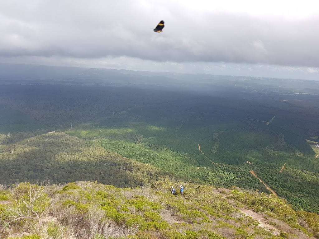 Mt Beerwah summit | Glass House Mountains QLD 4518, Australia