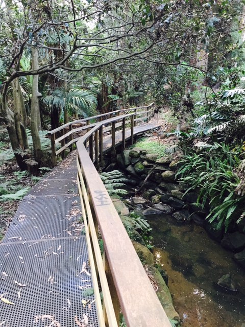 Harry Howard Bush Walk | Harry Howard Bushwalk, Lane Cove North NSW 2066, Australia | Phone: 0412 126 191