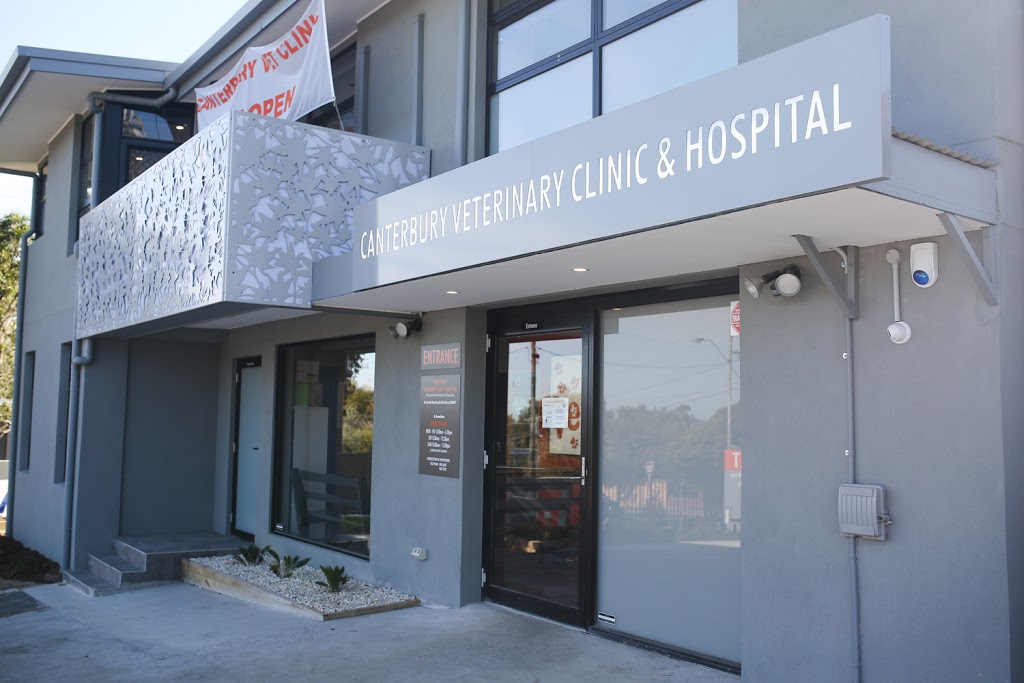 Canterbury Veterinary Clinic & Hospital - Dr Lynda Bonning | veterinary care | 721 Canterbury Rd, Surrey Hills VIC 3127, Australia | 0398362708 OR +61 3 9836 2708