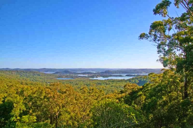 Bouddi Farm | 251 The Scenic Rd, Killcare NSW 2257, Australia | Phone: 0411 318 230