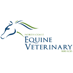 North Coast Equine Veterinary Services | veterinary care | 227 Pierce Ave, Sunshine Coast QLD 4551, Australia | 0754916719 OR +61 7 5491 6719