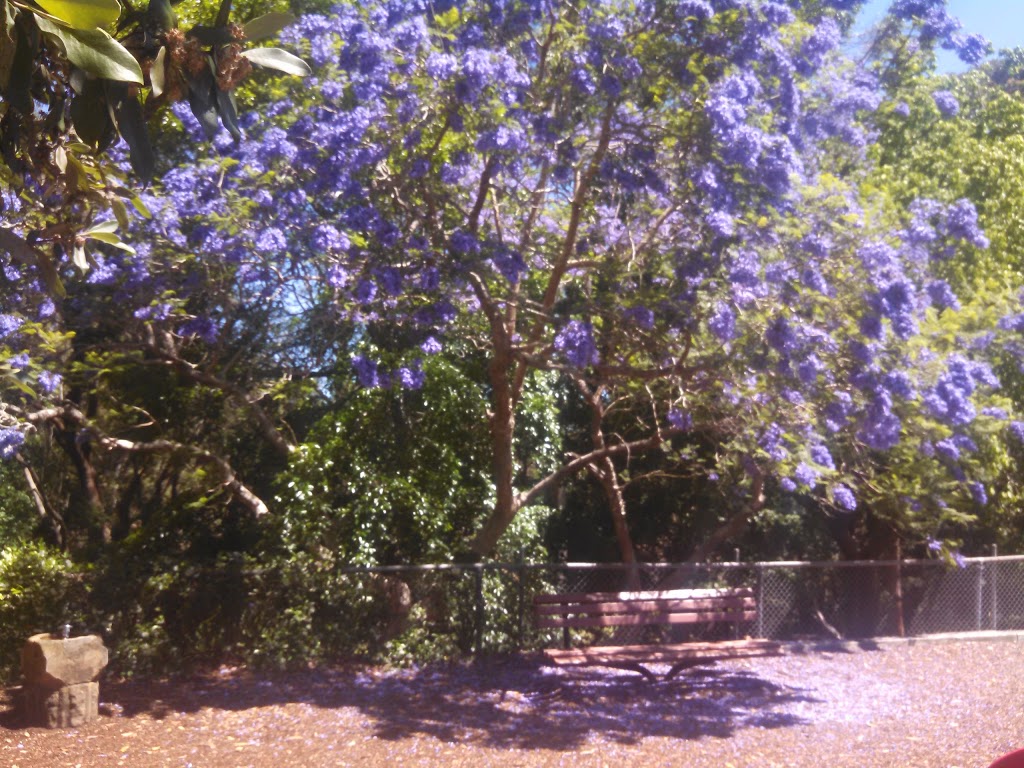 Loyal Henry Park | park | 49 Bromborough Rd, Roseville NSW 2069, Australia