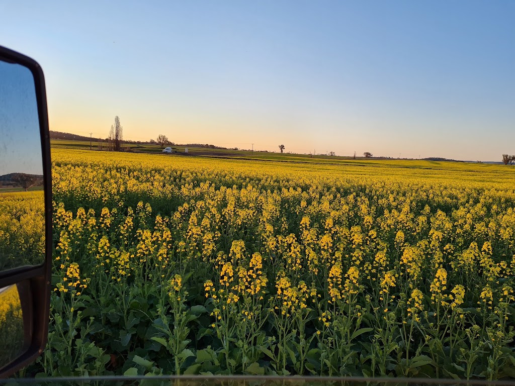 Abuzz Beekeeping Supplies | 18B Industrial Ave, Mudgee NSW 2850, Australia | Phone: 0411 874 778