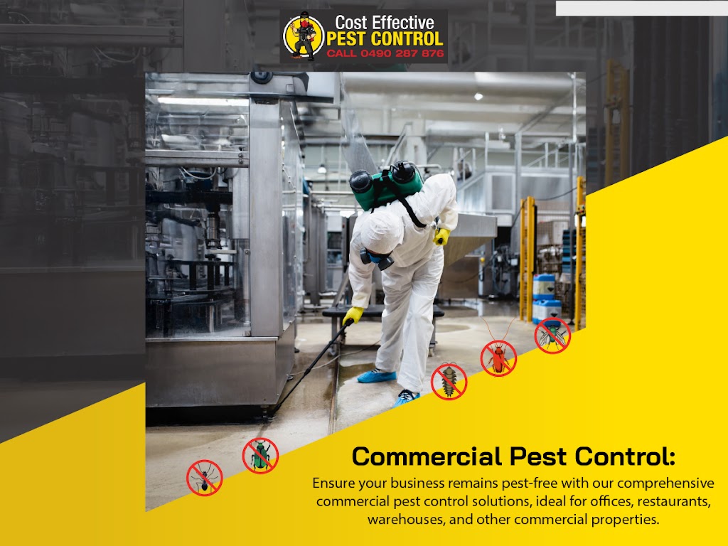 Cost Effective Pest Control | 117 Lake Entrance Rd, Barrack Heights NSW 2528, Australia | Phone: 0490 287 876