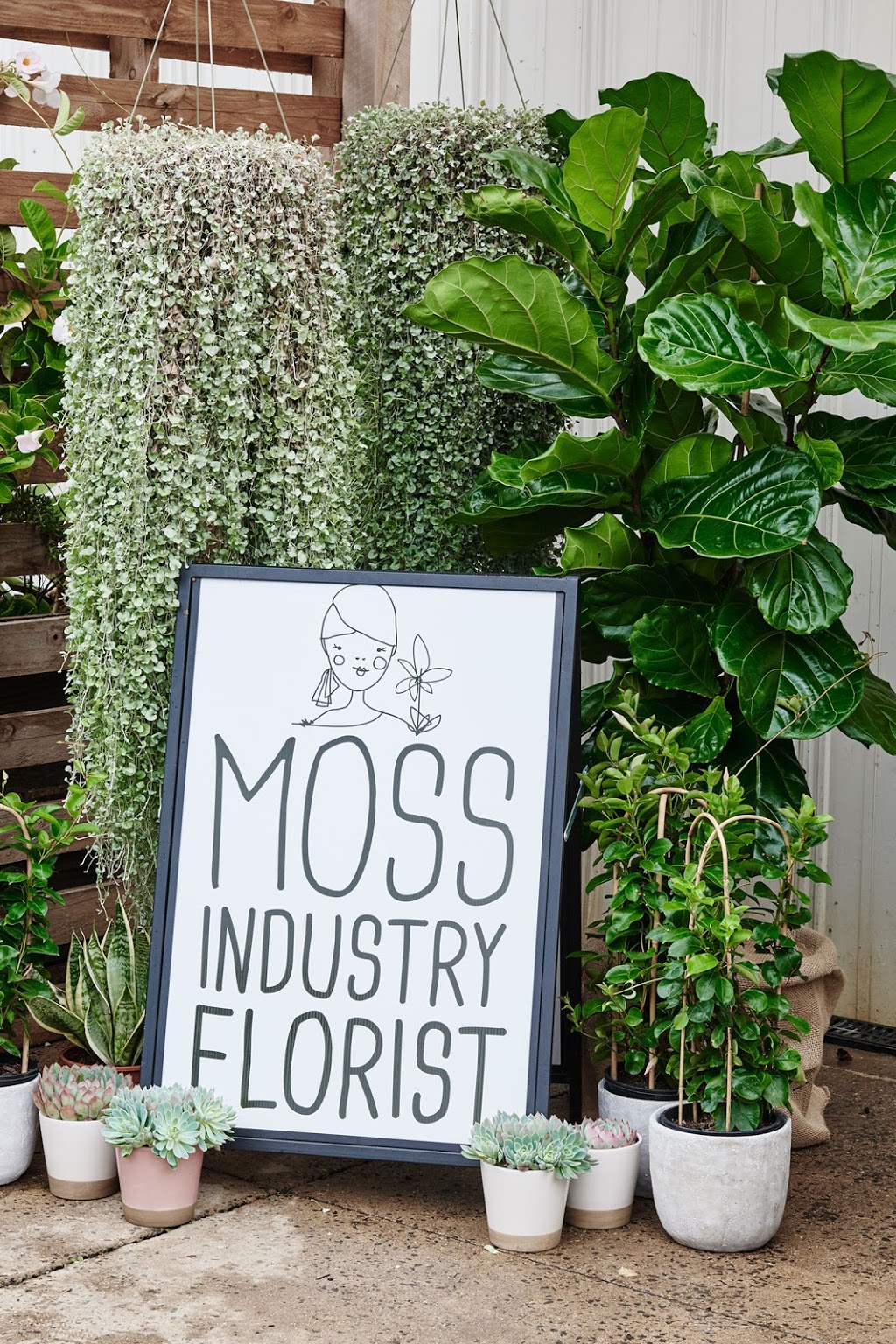 Moss Industry Florist | florist | 8 Smithton Grove, Ocean Grove VIC 3226, Australia | 0342424149 OR +61 3 4242 4149
