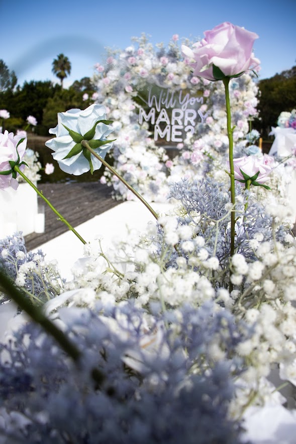 alanaphotography | 50 Willowdene Ave, Luddenham NSW 2745, Australia | Phone: 0403 213 222