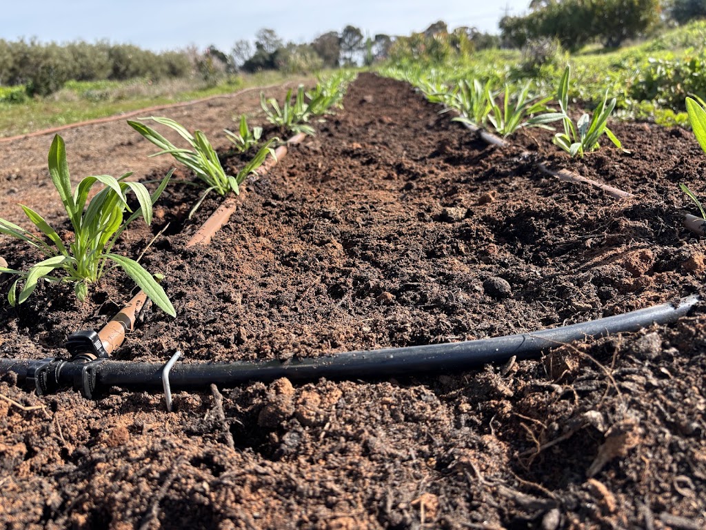 Muddy boots compost | 5764 Benalla-Tocumwal Rd, Muckatah VIC 3644, Australia | Phone: 0407 323 258