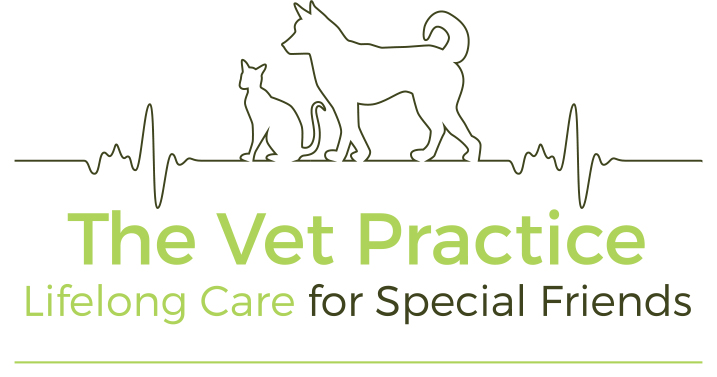 The Vet Practice & Canine Orthopaedics and Sports Medicine Centr | veterinary care | 2394 Plenty Rd, Whittlesea VIC 3757, Australia | 1300838254 OR +61 1300 838 254