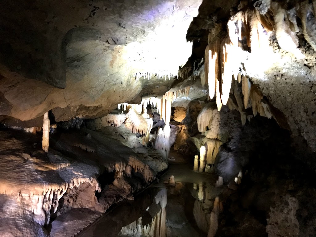 Buchan Caves Reserve Visitor Centre and Ticket Office | 98 Caves Rd, Buchan VIC 3885, Australia | Phone: (03) 5162 1900