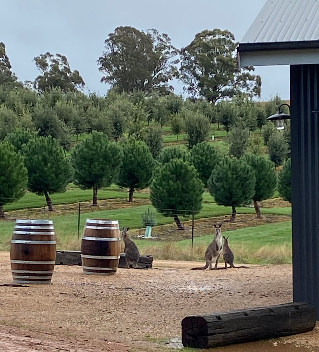 RedGround Truffles | 264 Titania Rd, Oberon NSW 2787, Australia | Phone: 0457 775 297