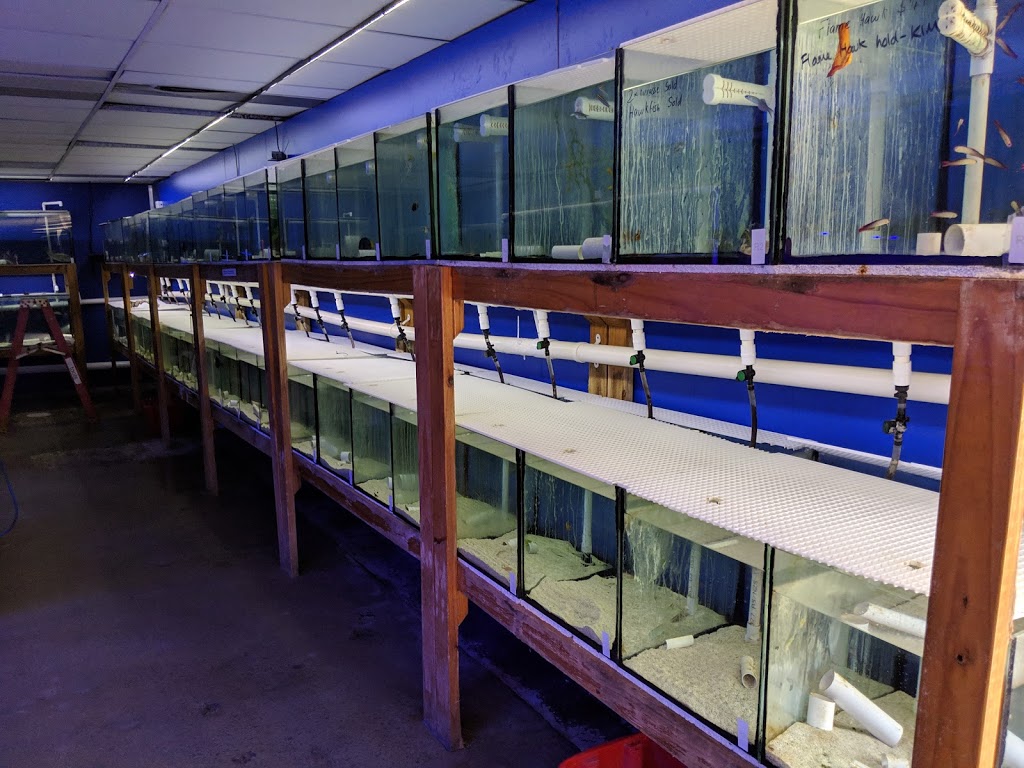 Ocean Reefs Marine Aquariums | pet store | 7/51 Buckingham Dr, Wangara WA 6056, Australia | 0894093039 OR +61 8 9409 3039