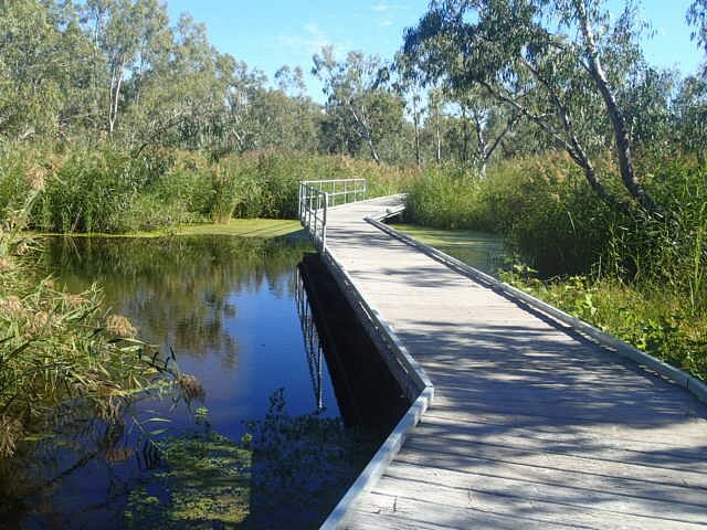 Burrima Boardwalk | Carinda Rd, The Marra NSW 2831, Australia | Phone: 0447 924 043