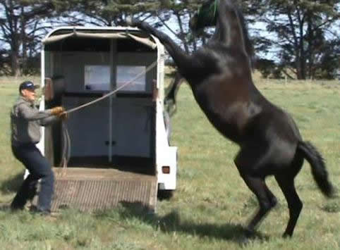 Natural Horsemanship | 7 Greenvale Dr, Gisborne VIC 3437, Australia | Phone: 0419 556 783