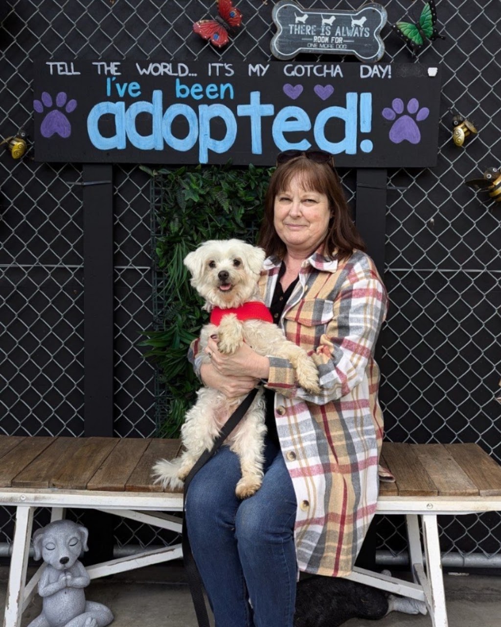 Maitland Animal Management Facility | 11 Metford Rd, East Maitland NSW 2323, Australia | Phone: 0438 742 541
