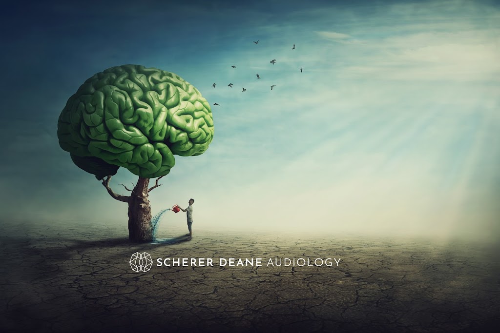 Scherer Deane Audiology | 71 Hamilton St, Gisborne VIC 3437, Australia | Phone: 1800 343 901