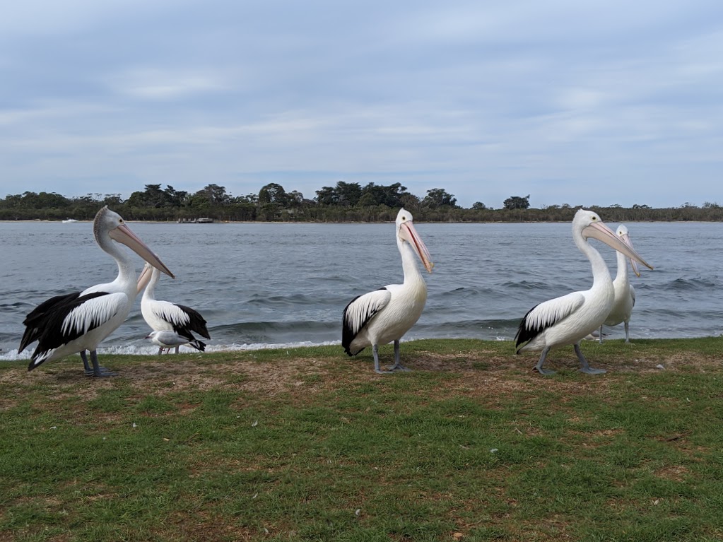 Metung Park | park | Metung VIC 3904, Australia