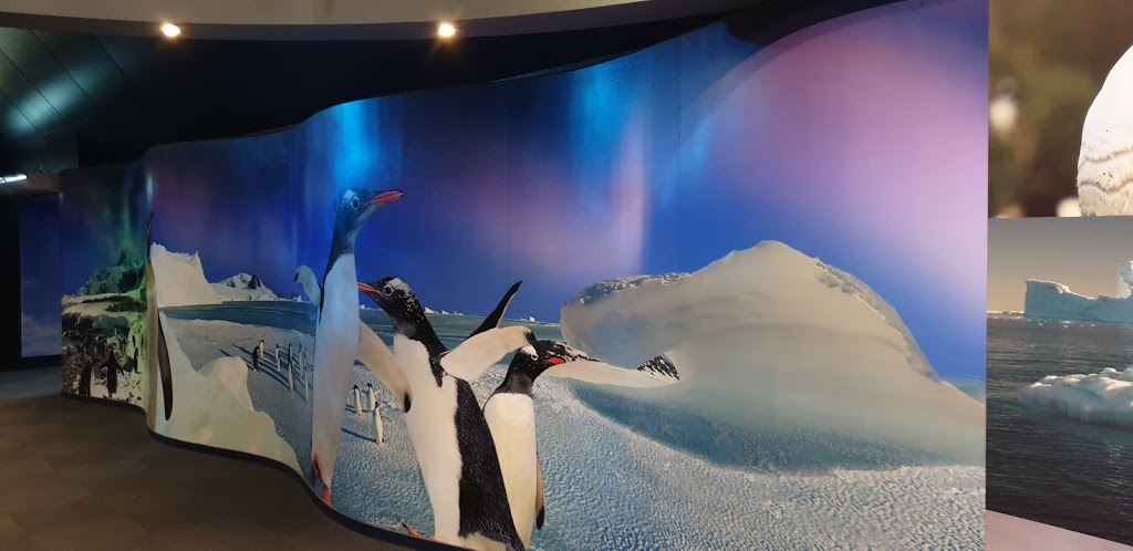 Penguin Encounter | tourist attraction | Main Beach QLD 4217, Australia | 133386 OR +61 133386