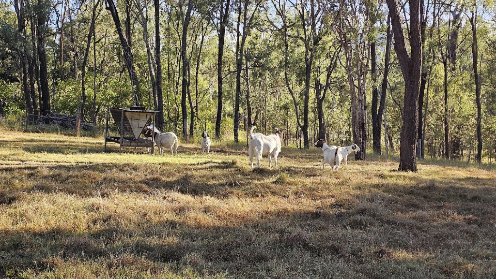 Wells Rest Linville Qld | 12 Wells St, Linville QLD 4314, Australia | Phone: (07) 5424 7245