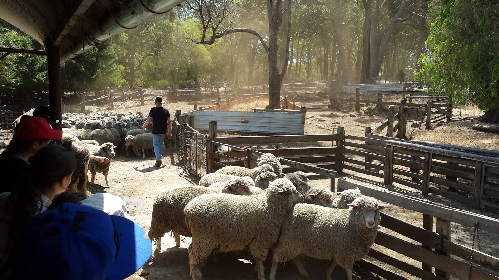 Yallingup Shearing Shed | 1442 Wildwood Rd, Yallingup WA 6282, Australia