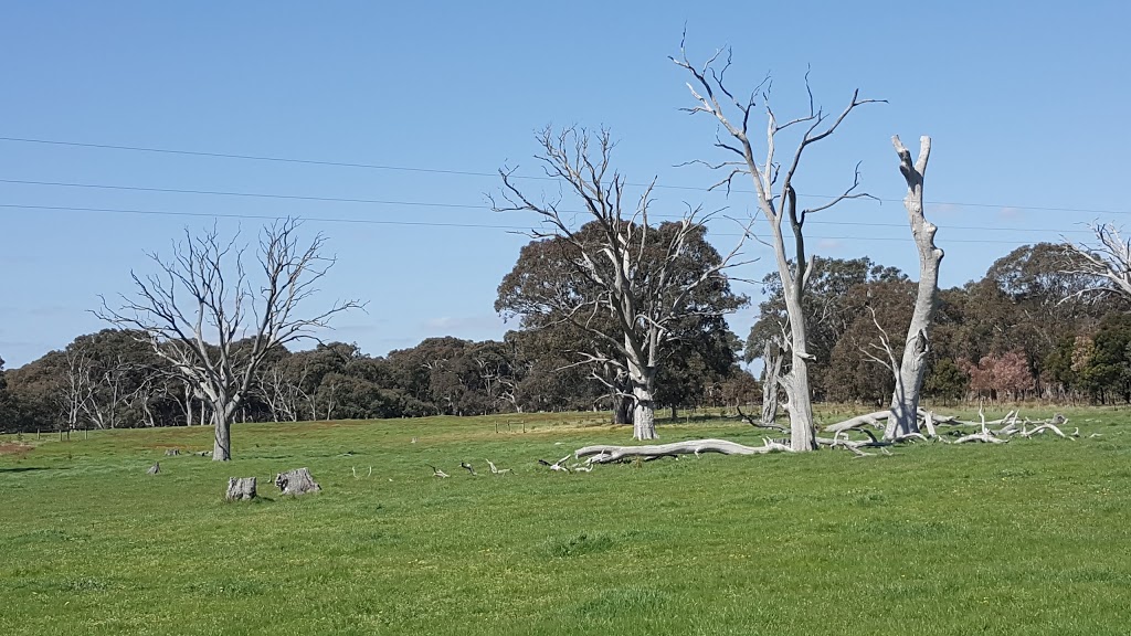 Braeside Redgum Picnic Area Car Park | park | 2, Braeside VIC 3195, Australia