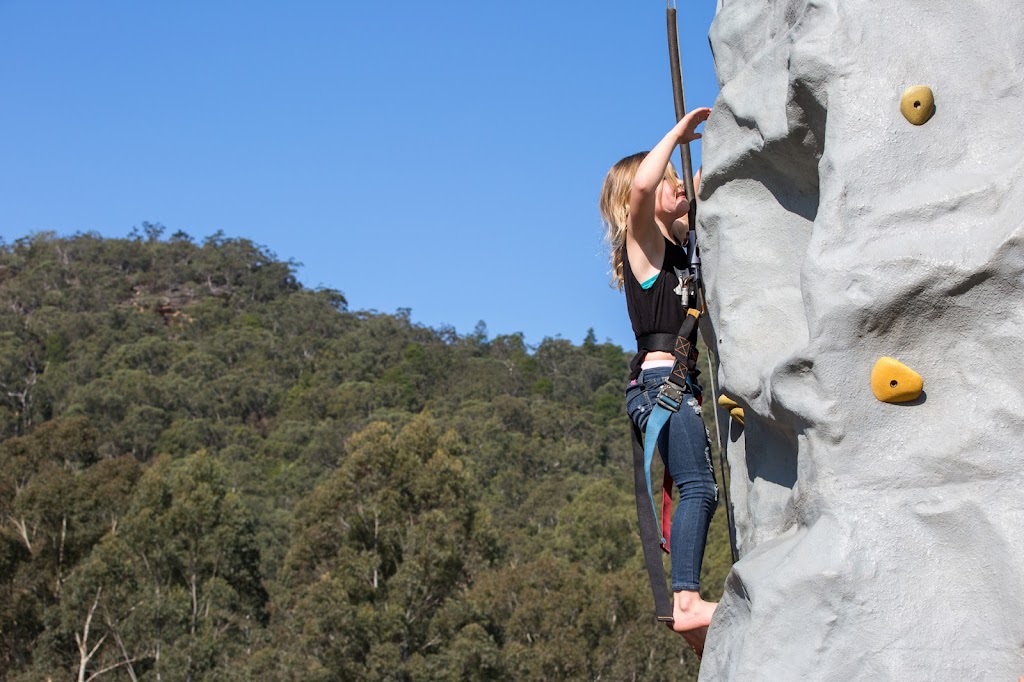 Horses Birthday Kids Festival | 69 Cooks Rd, Glenworth Valley NSW 2250, Australia | Phone: (02) 4375 1222