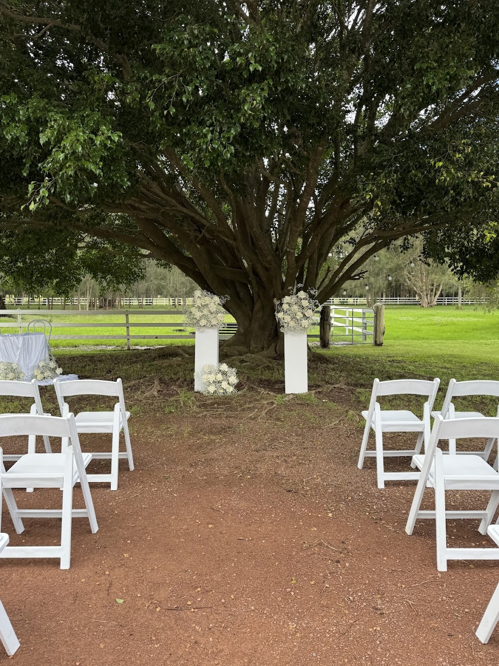 Wedfest Events | Unit 1/62 Spitfire Pl, Rutherford NSW 2320, Australia | Phone: 0432 982 933