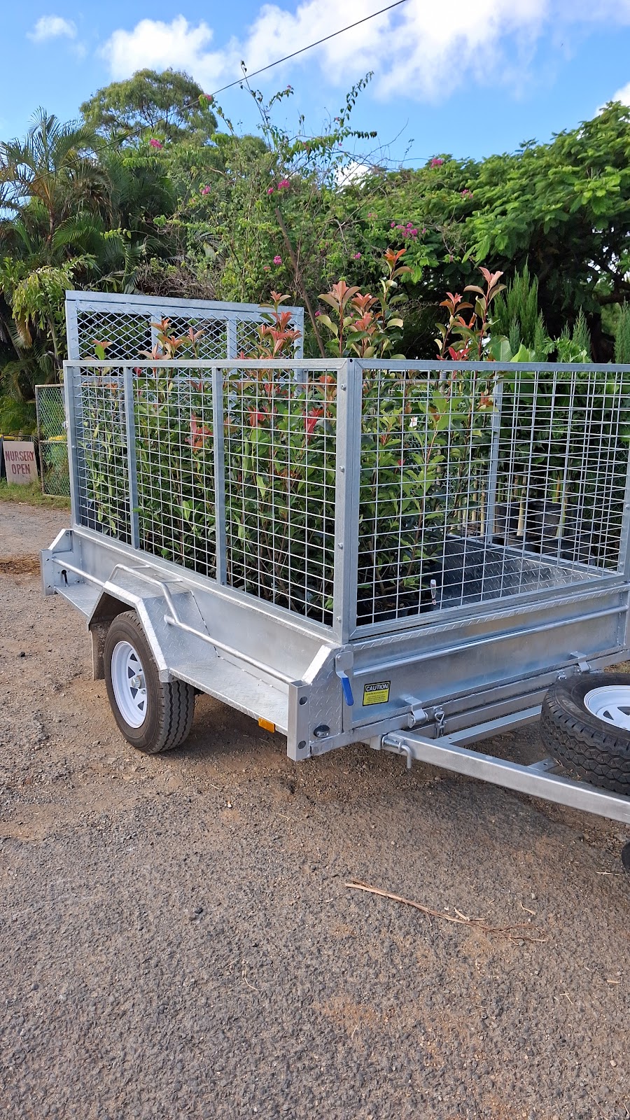 Advance Nursery | 164 Woodlands Dr, Thornlands QLD 4164, Australia | Phone: 0407 954 313