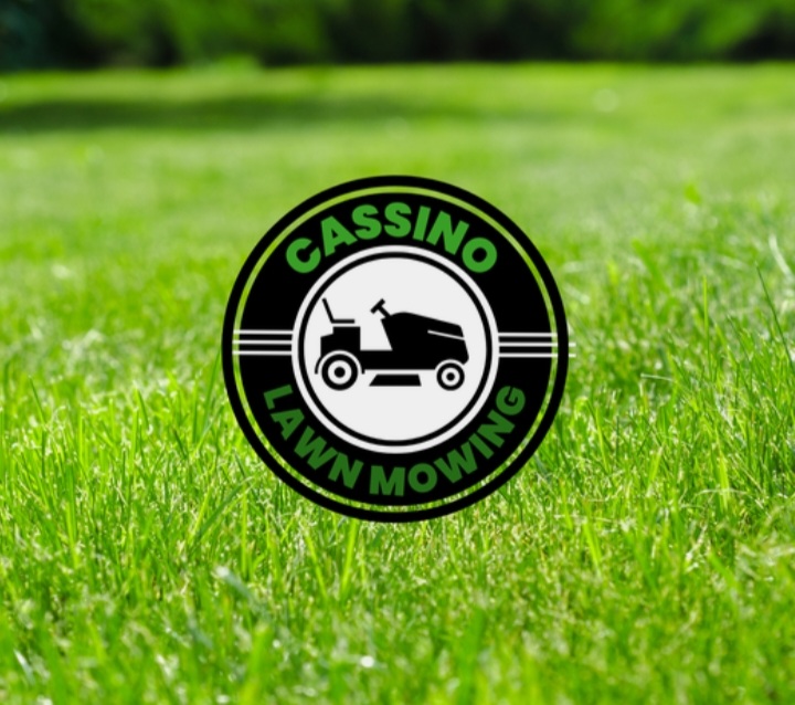 Cassino Lawn Mowing | Bruxner Wy, Casino NSW 2470, Australia | Phone: 0432 147 417