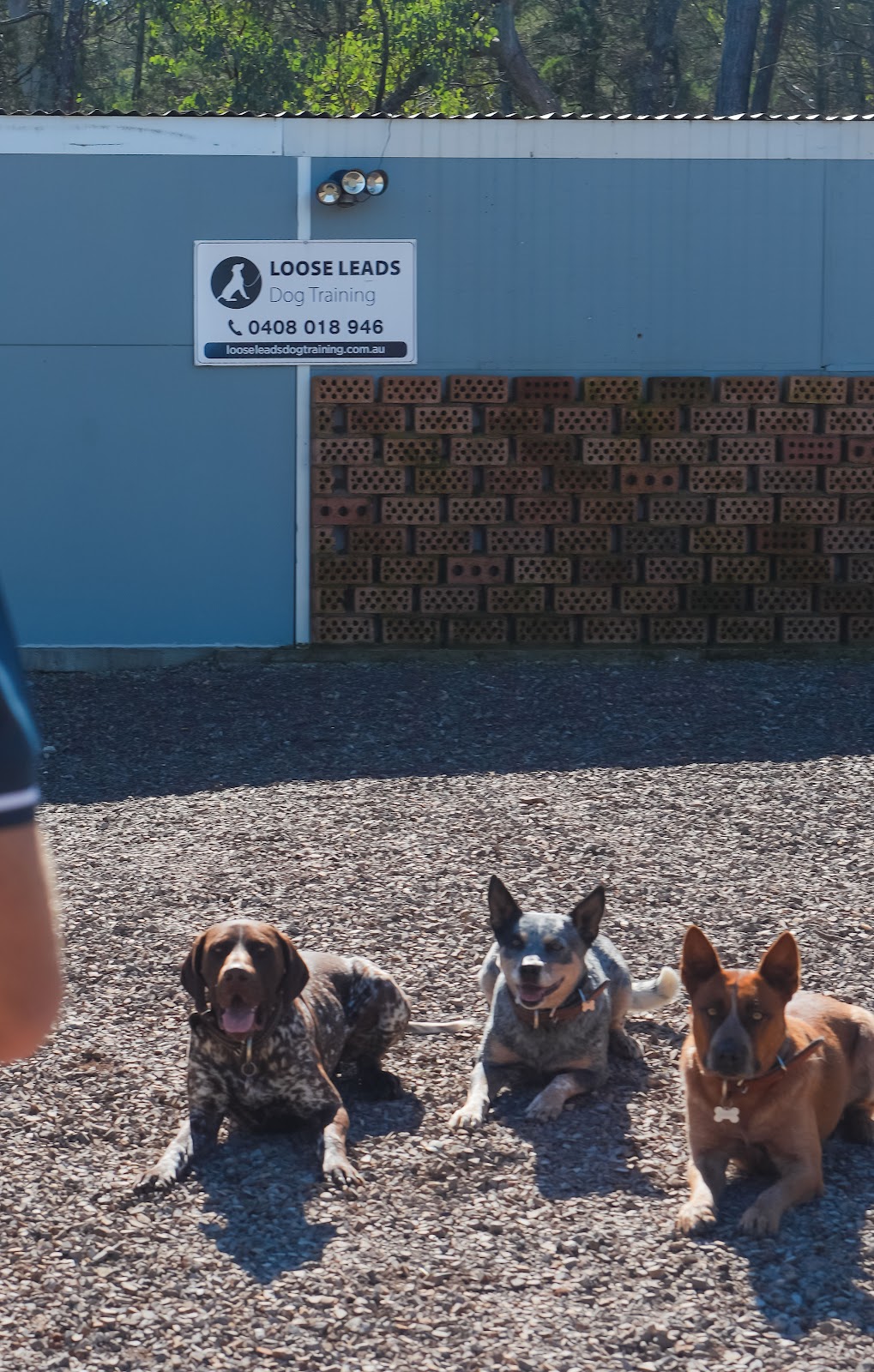 Loose Leads Dog Training | Bakers Swamp NSW 2820, Australia | Phone: 0408 018 946