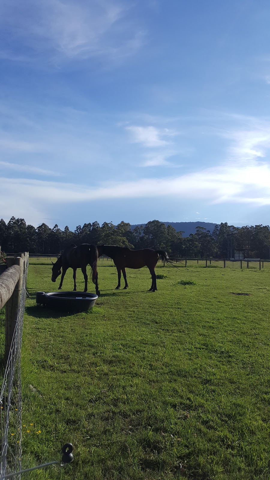 Tarrango Ranch Bed & Breakfast | lodging | 5 Old Tarrango Road, Yarra Junction VIC 3797, Australia | 0359671686 OR +61 3 5967 1686