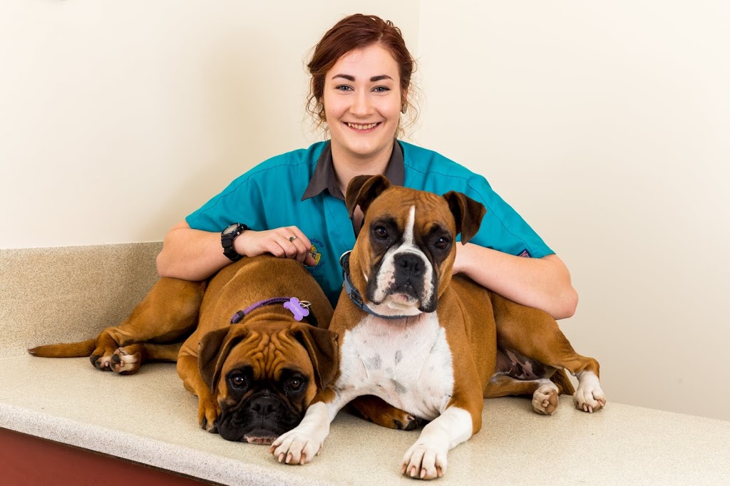 Lindisfarne Vet Clinic | veterinary care | 27 Lincoln St, Lindisfarne TAS 7015, Australia | 0362430083 OR +61 3 6243 0083