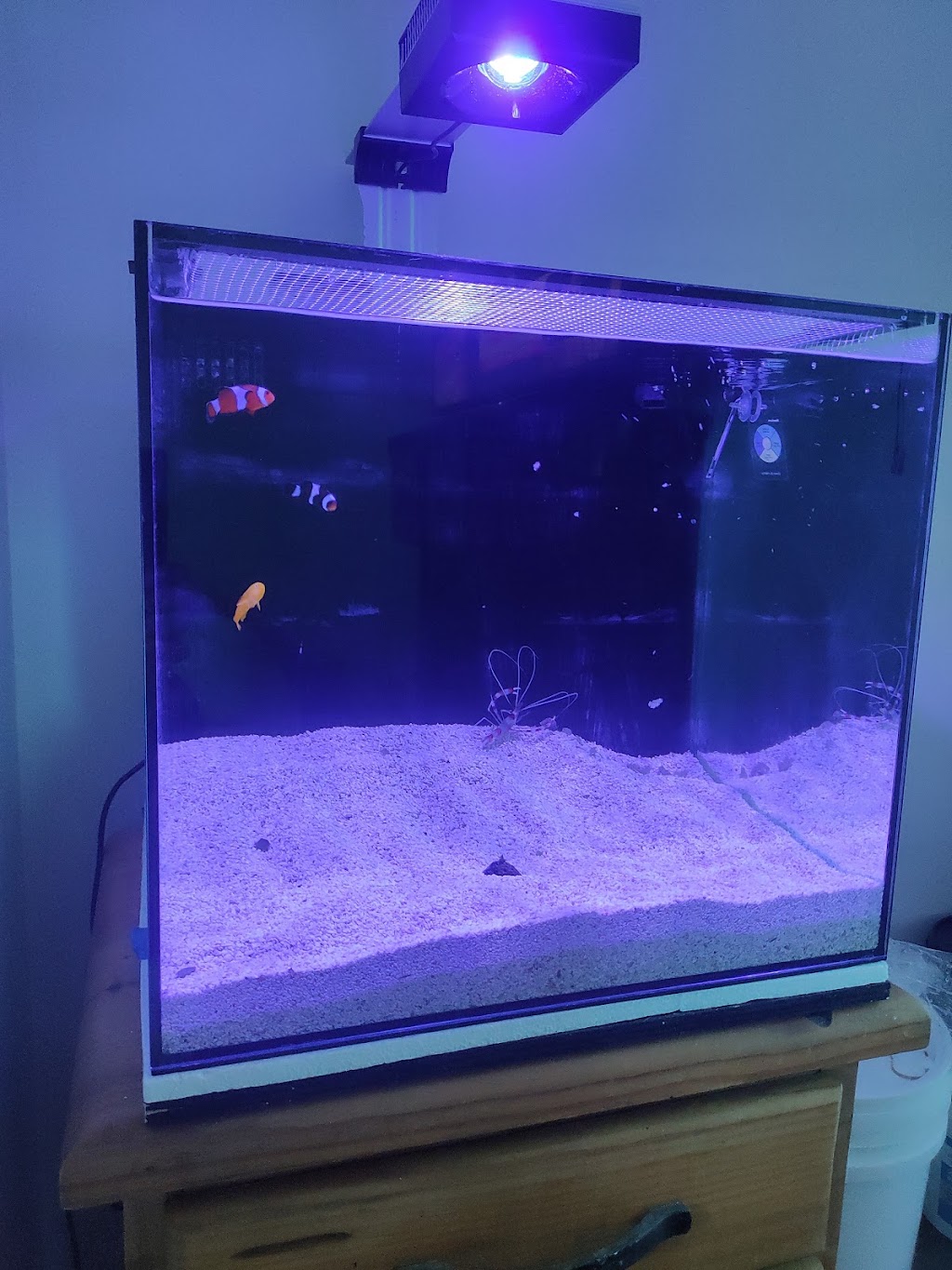 Reeftopia Australia | Unit 7/47 Cook Ct, North Lakes QLD 4509, Australia | Phone: (07) 3132 8055