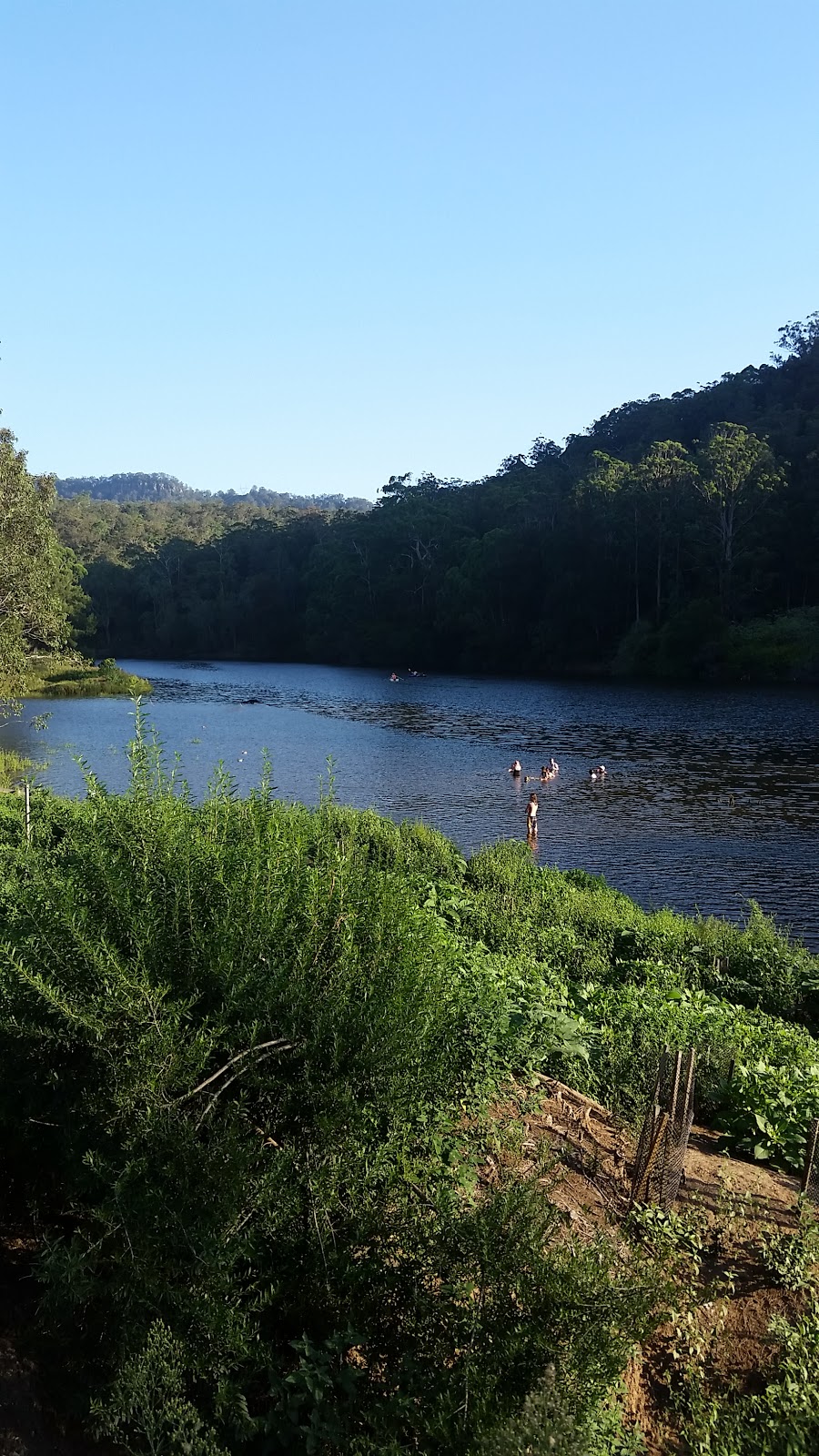 KANGAROO VALLEY FARMERS MARKETS |  | 165 Moss Vale Rd, Kangaroo Valley NSW 2577, Australia | 0244651355 OR +61 2 4465 1355