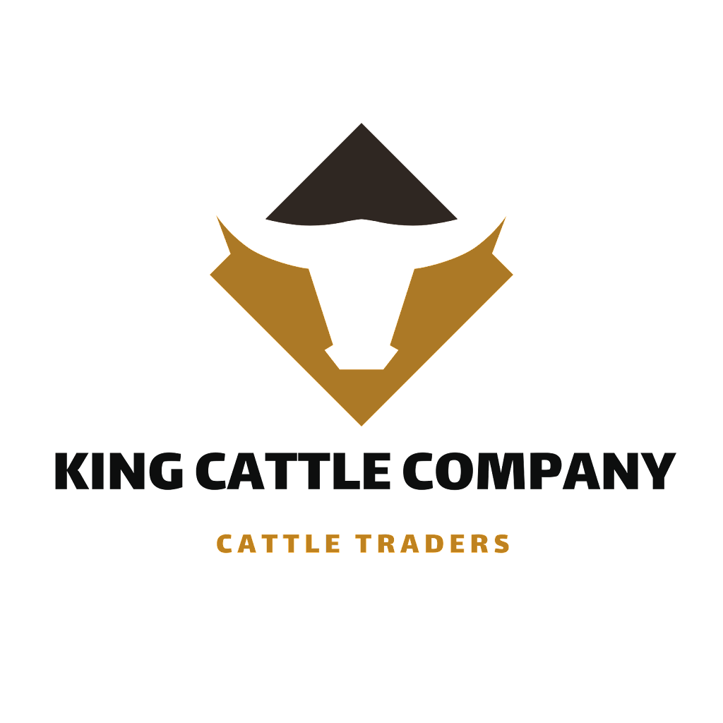 King Cattle Company | 111 Wrights Rd, Gowrie Little Plain QLD 4352, Australia | Phone: 0458 138 272