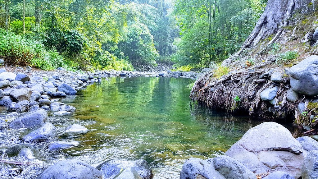 White Rock Campground | campground | Allyn River Forest Rd, Upper Allyn NSW 2311, Australia