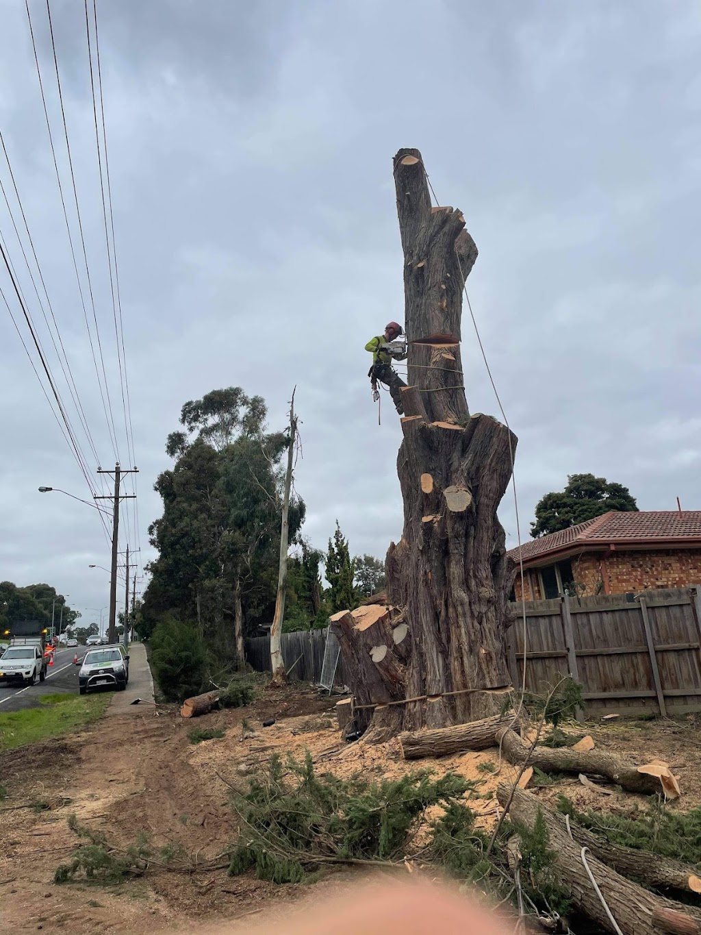 MC Tree services | Plenty Rd, Mill Park VIC 3082, Australia | Phone: 0488 660 715