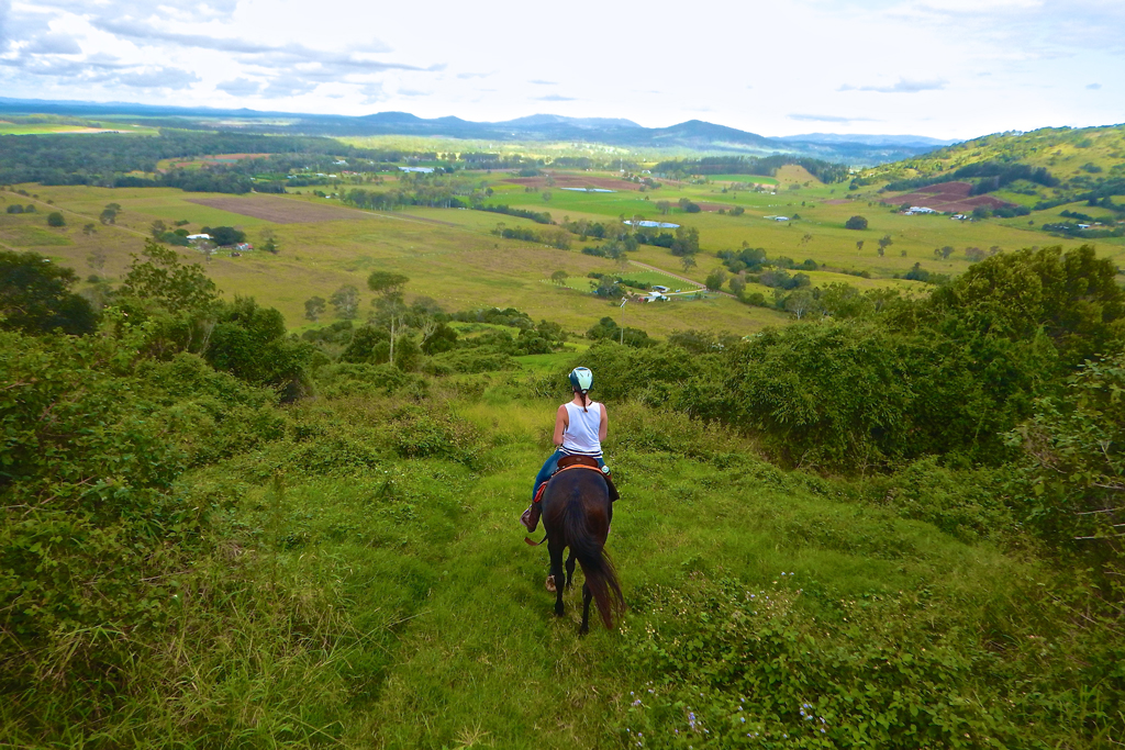 Rainbow Beach Country Horse Rides | travel agency | 84 Henry Rd, Goomboorian QLD 4570, Australia | 0412174337 OR +61 412 174 337