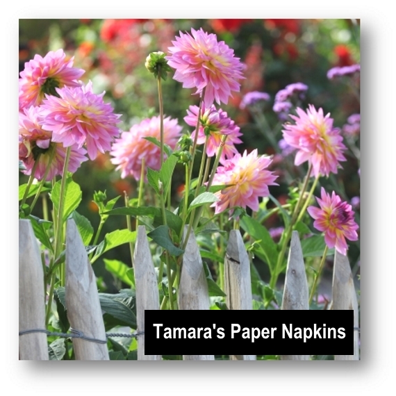 Tamaras Paper Napkins | home goods store | 1158 Cavendish Rd, Unit 26, Mount Gravatt QLD 4122, Australia | 0477557095 OR +61 477 557 095