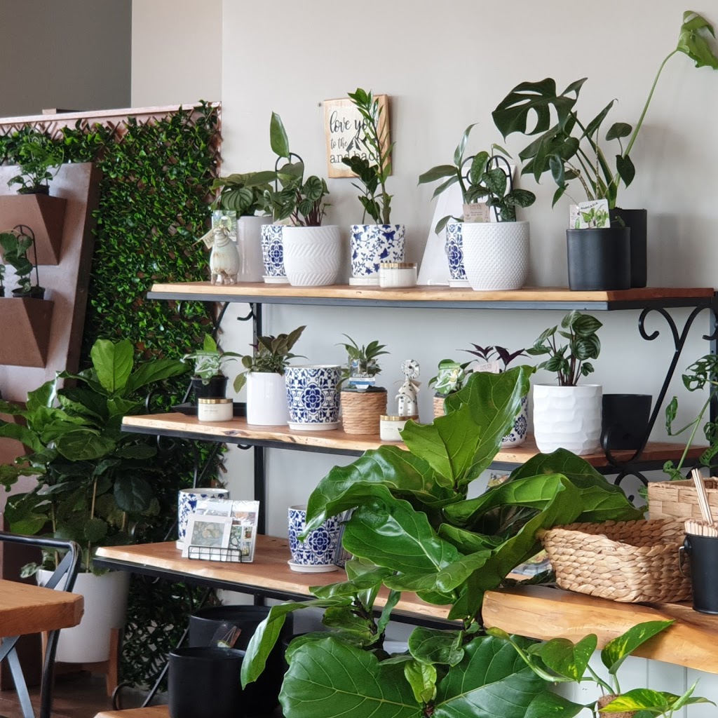 Plantorium | store | Inside Kikis In The Grove, 5796 Federal Hwy, Collector NSW 2581, Australia | 0248480098 OR +61 2 4848 0098