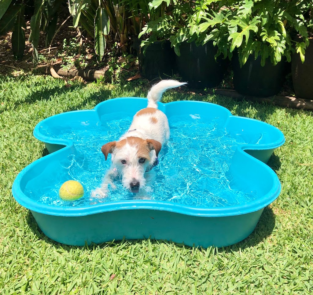 Dog Pools Australia | pet store | 2 Manubar Pl, Chapel Hill QLD 4069, Australia | 0403273250 OR +61 403 273 250