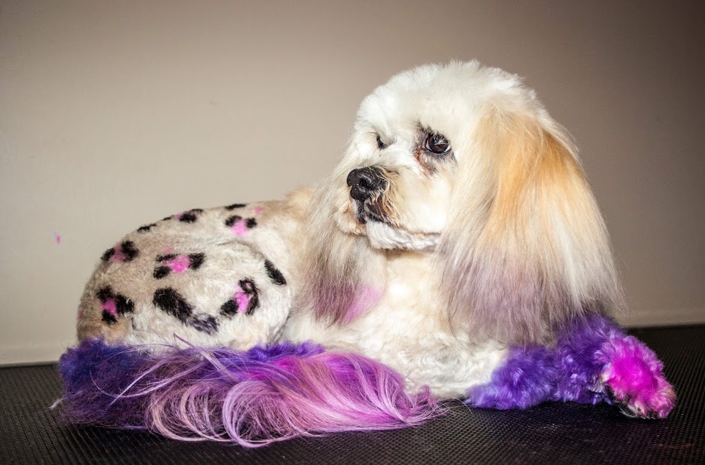 Classy K9s Boutique Spa | 29 Yeates St, Moranbah QLD 4744, Australia | Phone: 0431 253 757